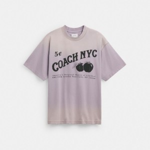 Coach Signature Apple T Shirt Viola | COH866921