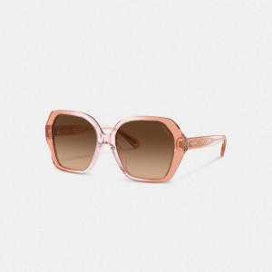 Coach Signature Ombré Geometric Square Sunglasses Marroni | COH866380