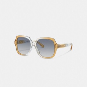 Coach Signature Ombré Oversized Square Sunglasses Blu | COH866332