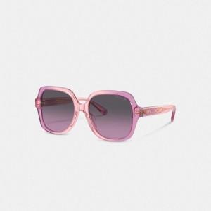 Coach Signature Ombré Oversized Square Sunglasses Rosa Viola | COH866387