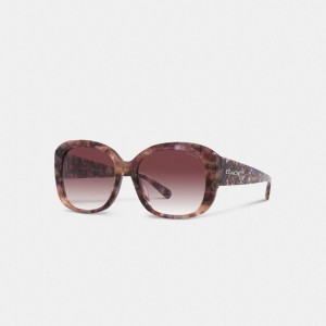 Coach Signature Oversized Square Sunglasses Viola | COH866382