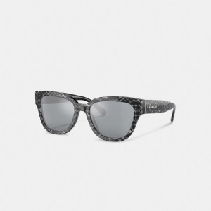 Coach Signature Round Sunglasses Argento | COH866393