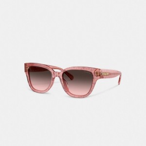 Coach Signature Round Sunglasses Rosa | COH866334