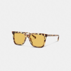 Coach Signature Square Sunglasses Arancioni | COH867076