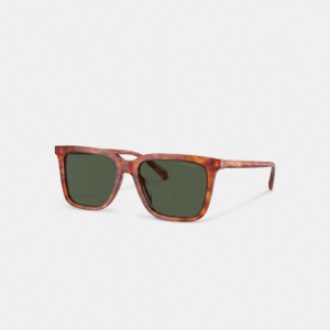 Coach Signature Square Sunglasses Verdi | COH867056