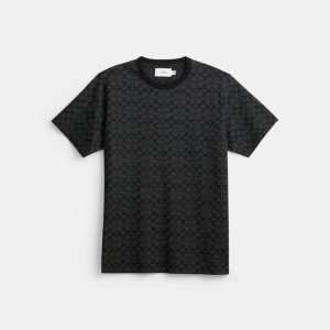 Coach Signature T Shirt Grigie | COH866920