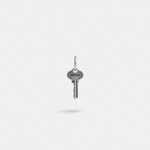 Coach Sterling Silver Key Single Huggie Earring Argento | COH867028