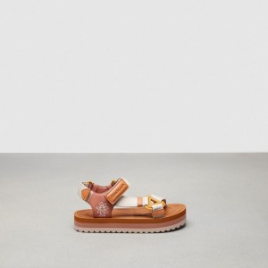 Coach Strappy Sandal Colorate | COH865858