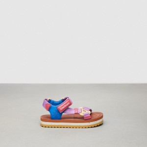 Coach Strappy Sandal Viola Colorate | COH865873