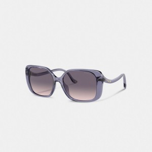 Coach Swoop Temple Rectangle Sunglasses Viola | COH866343