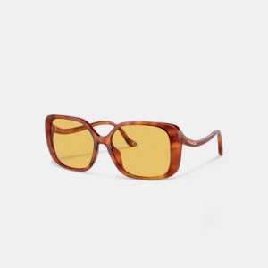 Coach Swoop Temple Rectangle Sunglasses Marroni | COH866375